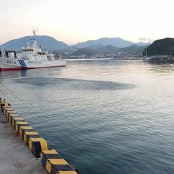 ナブラが目の前をパレード