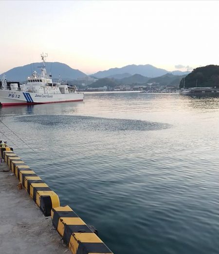 ナブラが目の前をパレード