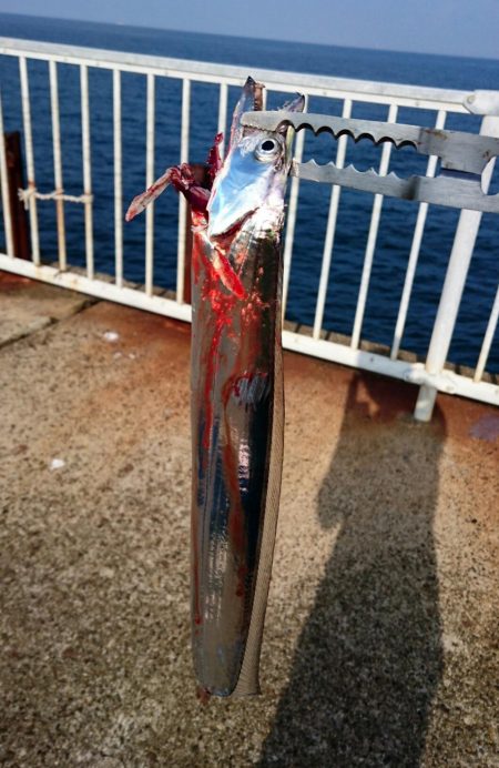 連休中のタチウオプチ遠征