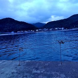 まさか、カンパチが釣れるとは!!