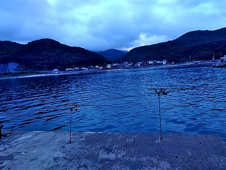 まさか、カンパチが釣れるとは!!