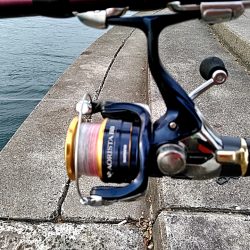 アオリイカ釣れました!!