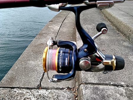 アオリイカ釣れました!!