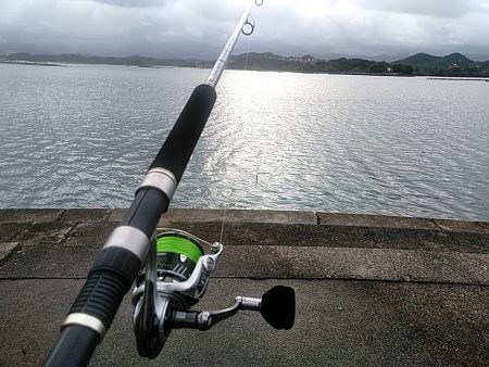 台風明けに　カンパチ（シオ）釣れましたね!!