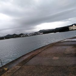 雨が降ってますが、何とか・・・・