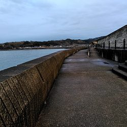 今年初めての太刀魚でした!!