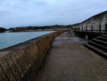 今年初めての太刀魚でした!!