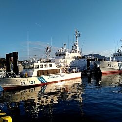 久しぶりの太刀魚でした(#^^#)