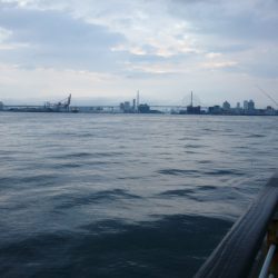 雨だからこそ行くタチウオ釣行