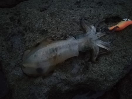 とりあえず雨がですねー・・・