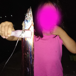 開幕？オカッパリタチウオ