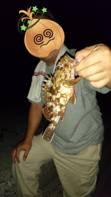 夜釣りガシラ～夜明け青物～