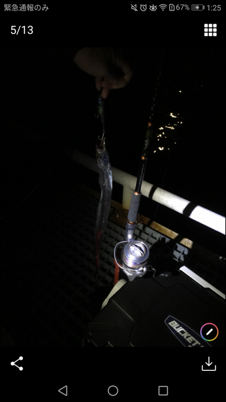 タチウオ釣り最高!!