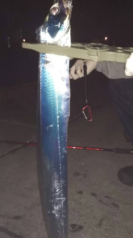 タチウオフカセ釣り