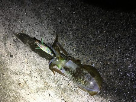 今日しかない・・・