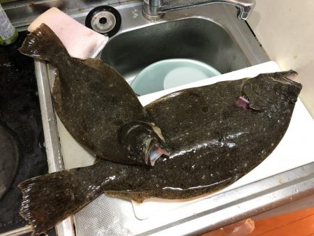 マゴチ狙いのはずが