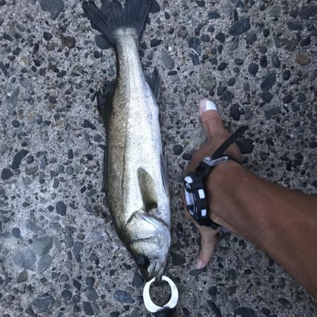 いい場所でした！