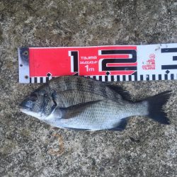 今週も好調！雨上がり６尾ゲット！！