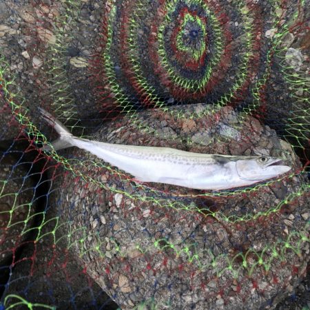 台風通過後ショアジギ７目釣り