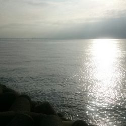 タチウオとアジ