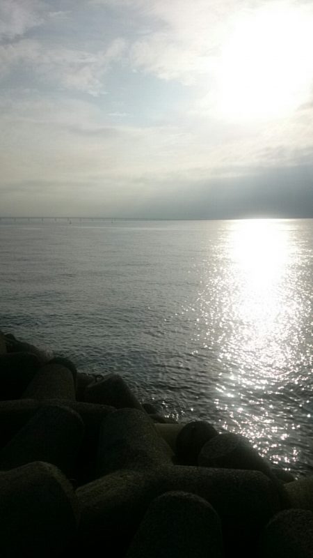 タチウオとアジ