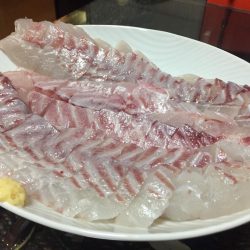 ２日目の大津港