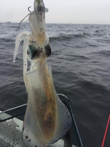 初の船外機ボート釣り