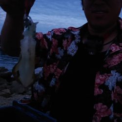 エギング&アジング