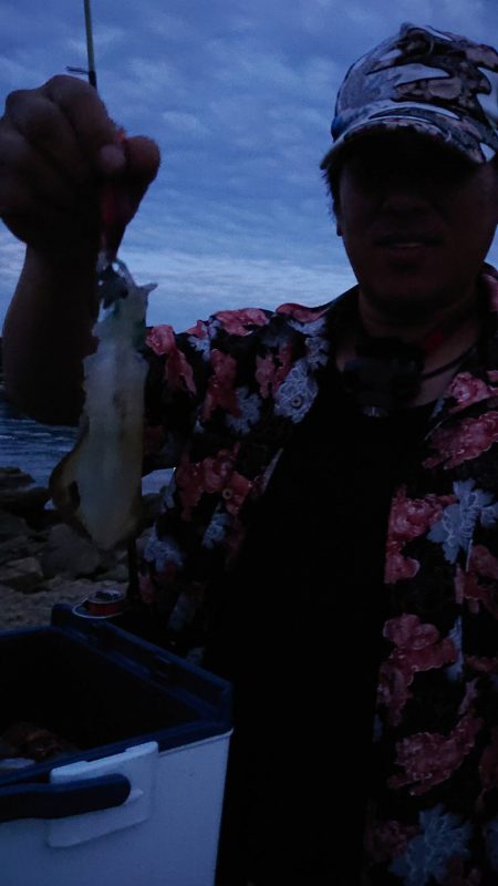 エギング&アジング