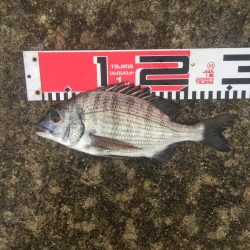 今週の釣果報告！９月２８日（金）