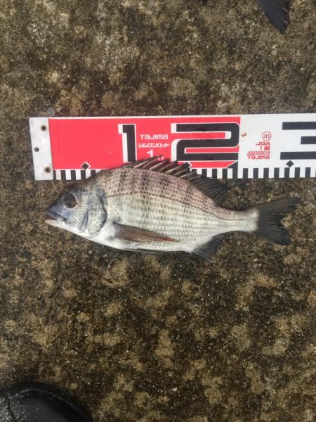 今週の釣果報告！９月２８日（金）