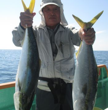 ネイリ・ハマチ釣り