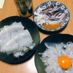 朝短時間フィッシング