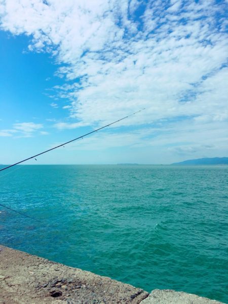 青物初心者でも♪