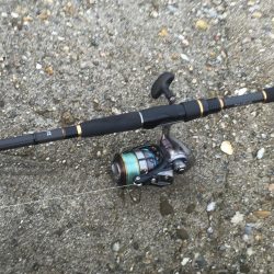 今日も釣れて嬉しい！