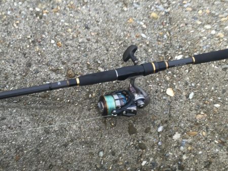 今日も釣れて嬉しい！