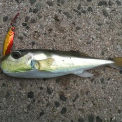 台風の次は 大雨・・・その翌日は?