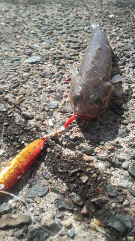 腕おちた・・・