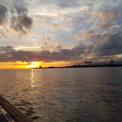 気軽にワインド