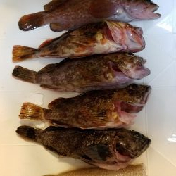 久しぶりに来ました！