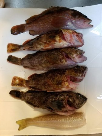 久しぶりに来ました！