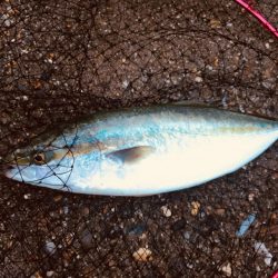 風が強かったです。