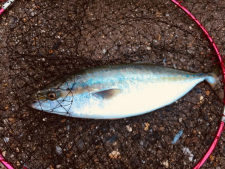 風が強かったです。