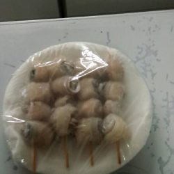 太刀魚絶好調!おかっぱり