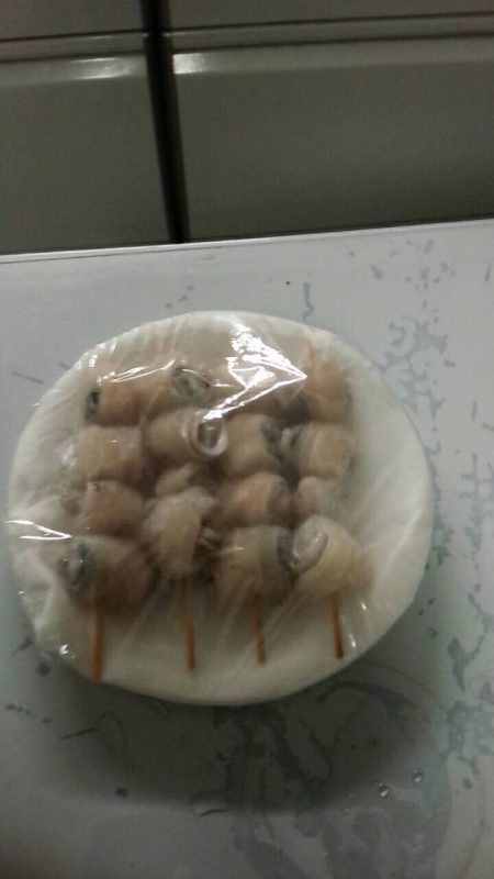 太刀魚絶好調!おかっぱり