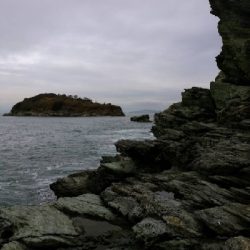 まかさの一投目！