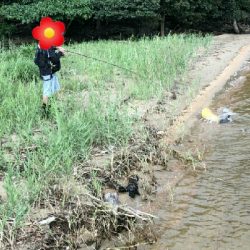 いい時期になりましたな