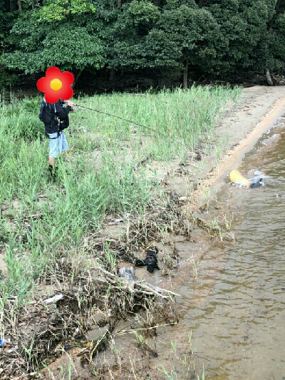 いい時期になりましたな