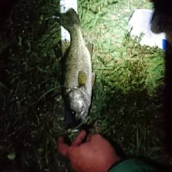 3カ月ぶりに琵琶湖