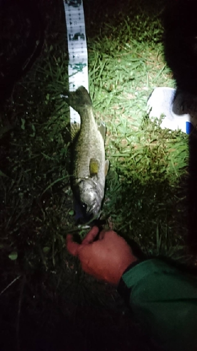 3カ月ぶりに琵琶湖